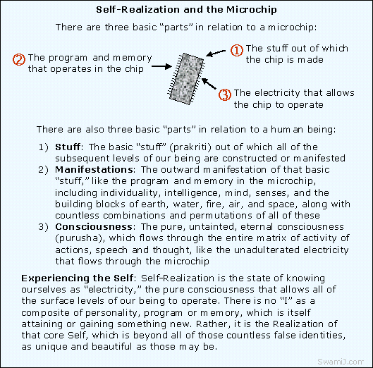 Yoga Sutras of Patanjali: Self-Realization and the Microchip 